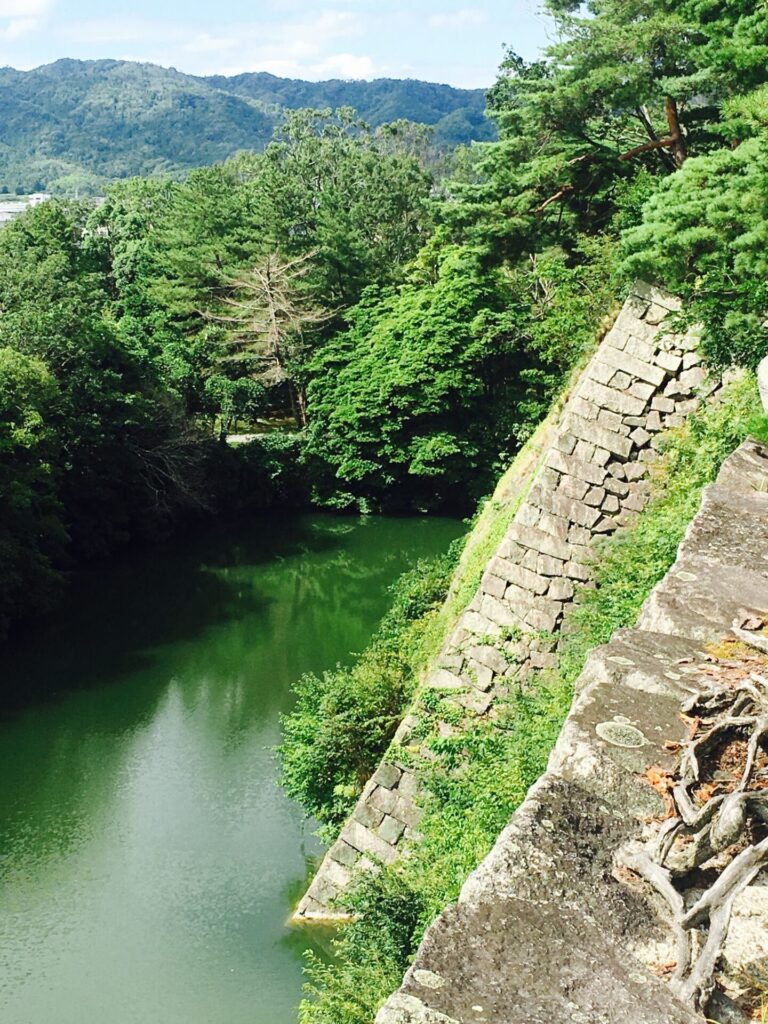 伊賀上野城の石垣