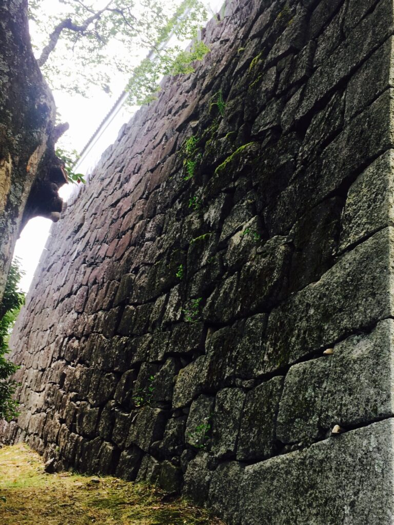 伊賀上野城の石垣アップ