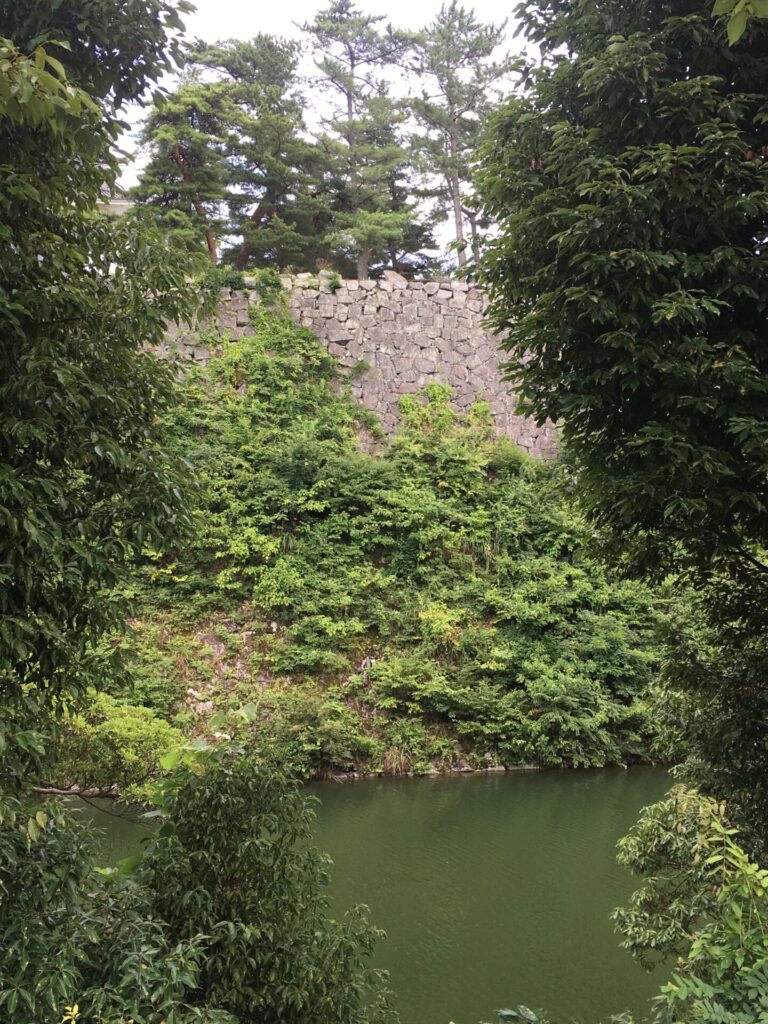 伊賀上野城の石垣04