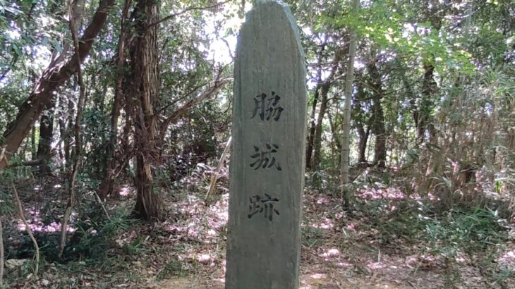 脇城 ／ 虎伏城（徳島県）