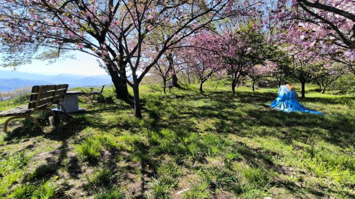 祢津城 下の城／禰津城 下の城（長野県）