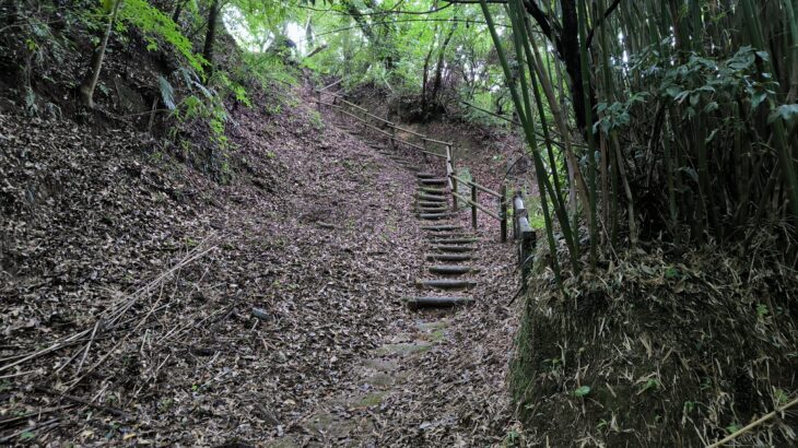 伊作城/亀丸城(鹿児島県)