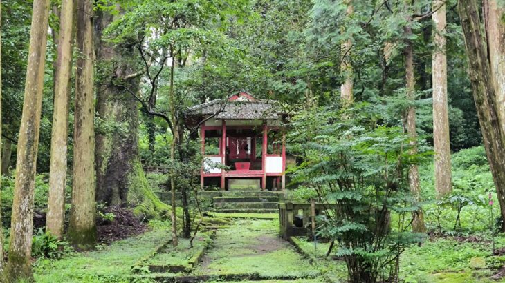 亀ヶ城跡/田布施城(鹿児島県)
