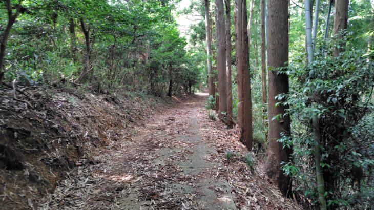 幡谷城（千葉県）