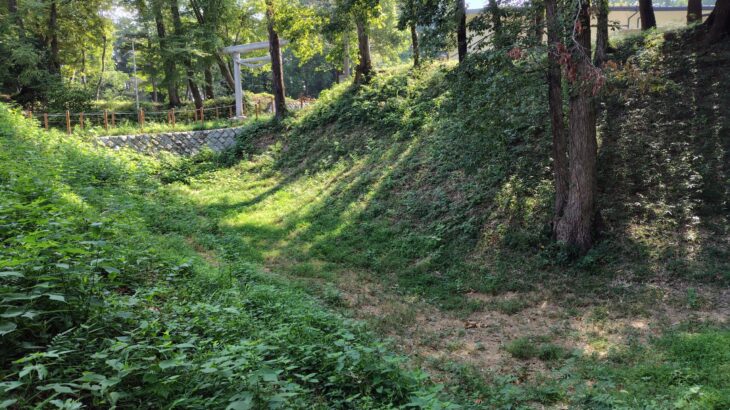 滝の城 ／ 本郷城（埼玉県）