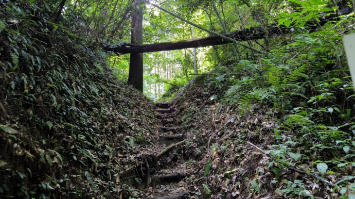 志布志城・内城（鹿児島県）