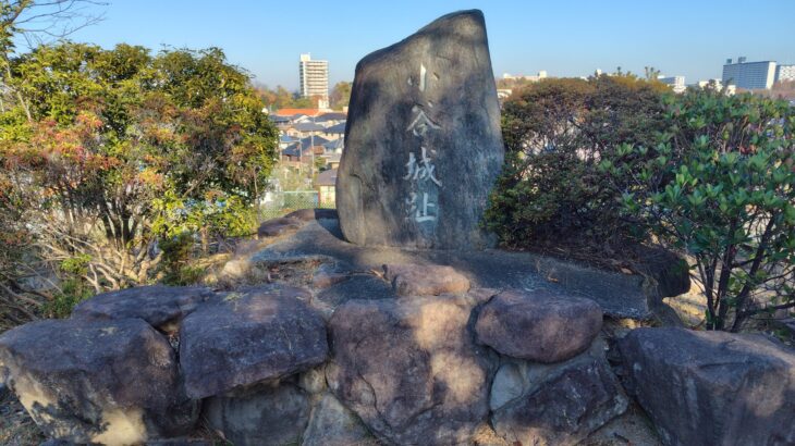 小谷城（大阪府）