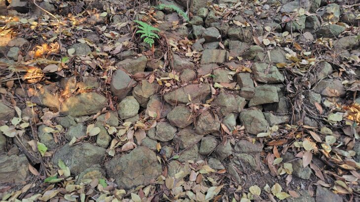 入山城（和歌山県）