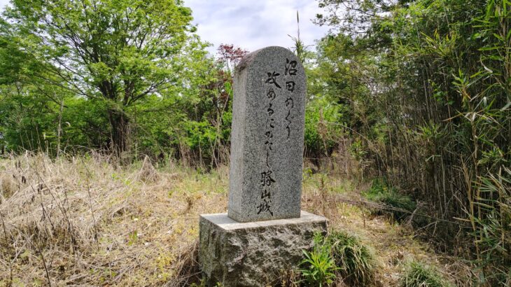 勝山城 ／ 甲斐勝山城（山梨県）