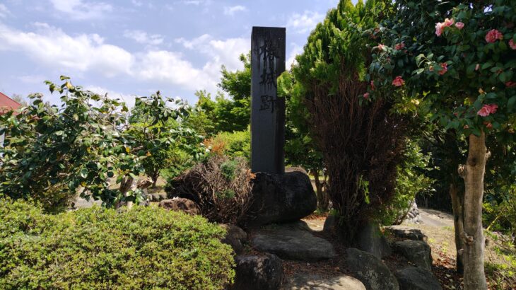 椿城／上野城（山梨県）