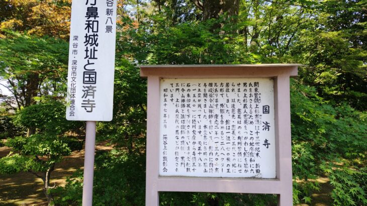 庁鼻和城（埼玉県）