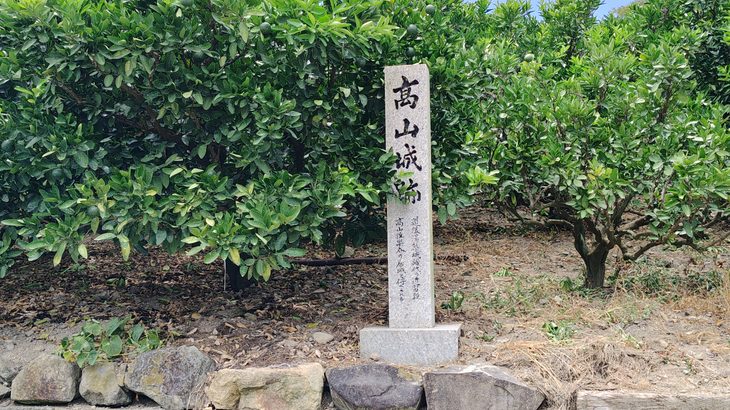高山城（愛媛県）